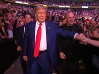 Trump Wins UFC 302