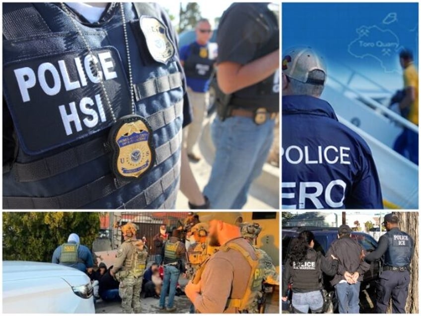 ICE Deportation Raids Lead to 200 Federal Criminal Cases (U.S. Immigration and Customs Enf