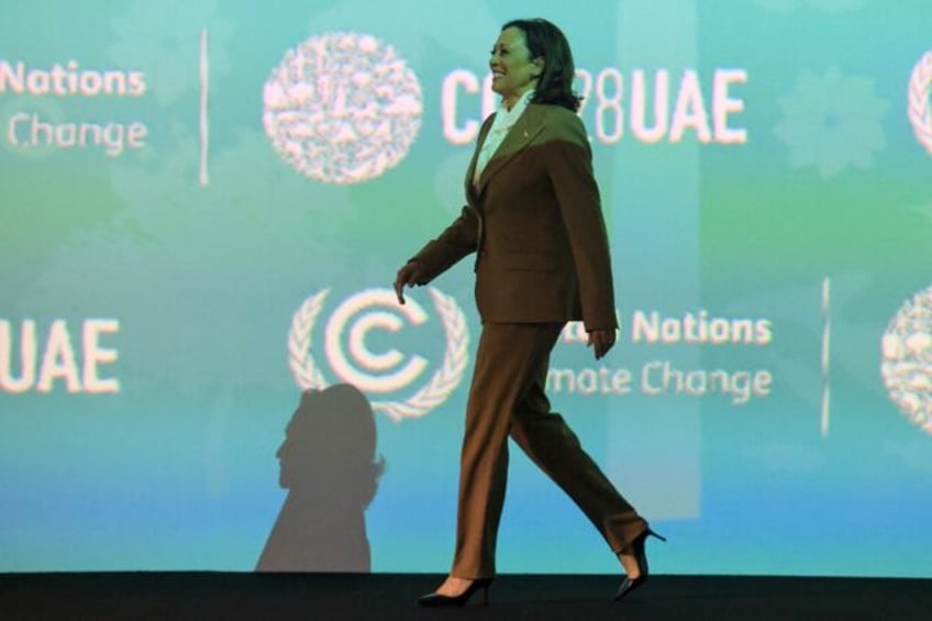 US Vice President Kamala Harris at the COP28 United Nations climate summit in Dubai on Dec