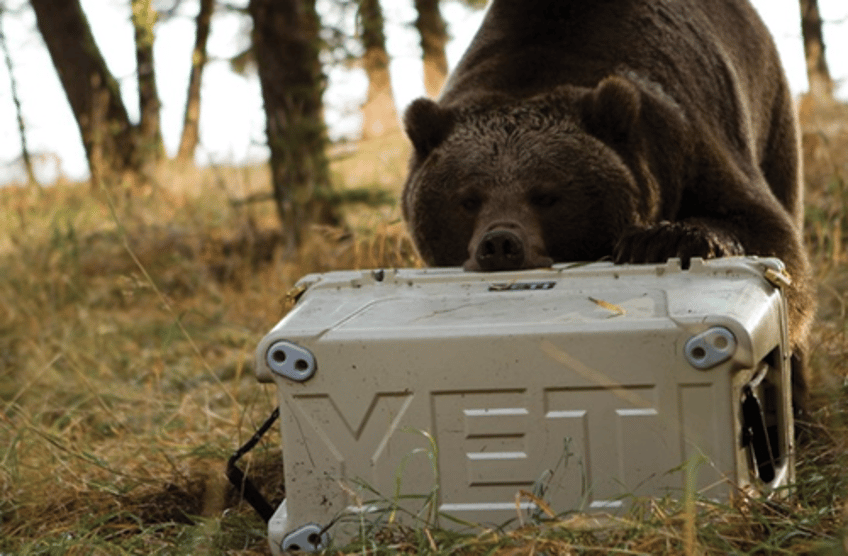 trumps trade war lit a fire under yeti coolers