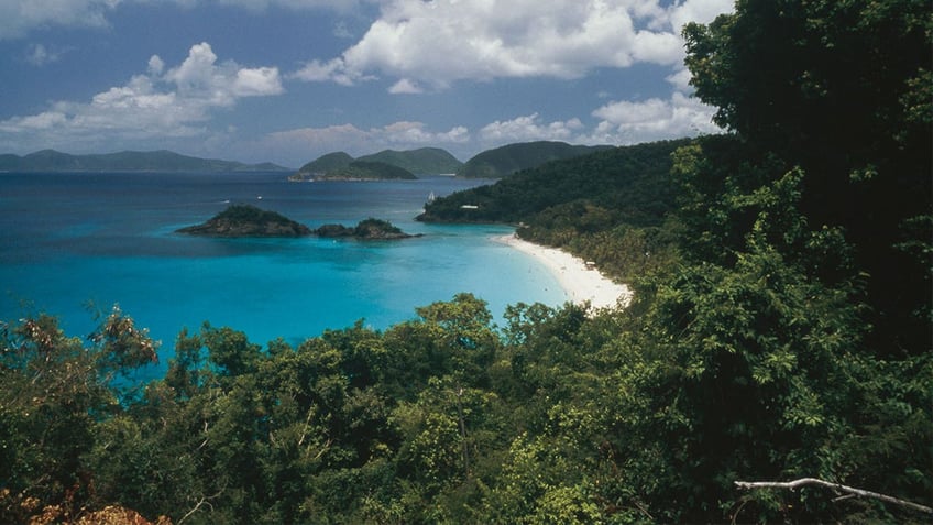 Trunk Bay, U.S. Virgin Islands