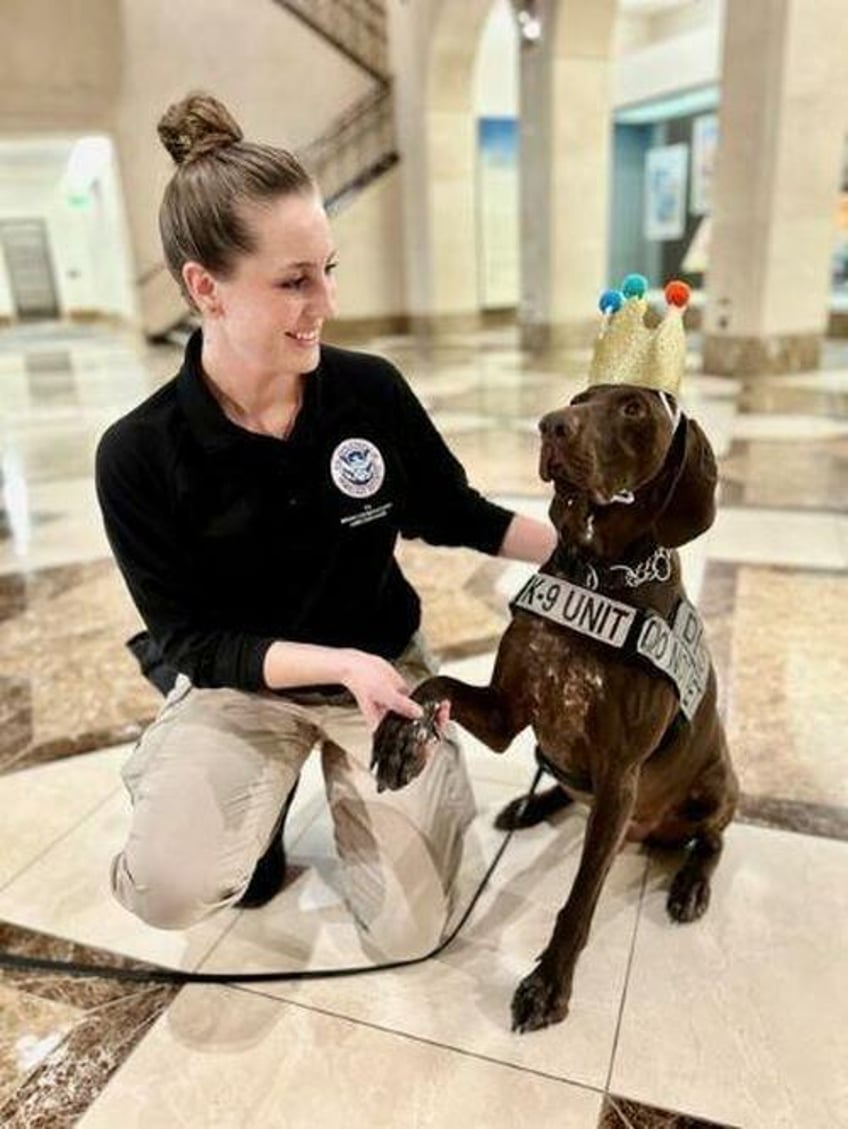 tsa tyranny goes cutesy