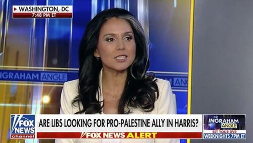 tulsi gabbard lgbtq activists at pro palestine marches dont understand islamists want to kill them