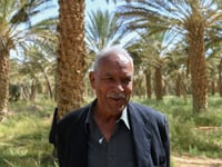 Tunisian ‘revolution oasis’ palm grove thrives on self-rule
