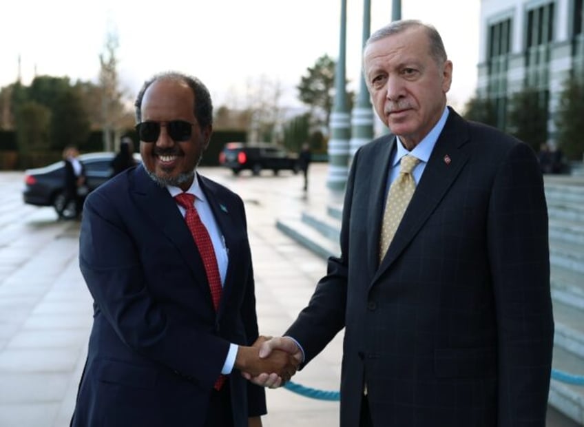 Somali President Hassan Sheikh Mohamud flew in at the request of his Turkish counterpart,