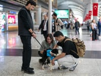Turkey therapy dogs join Istanbul Airport staff