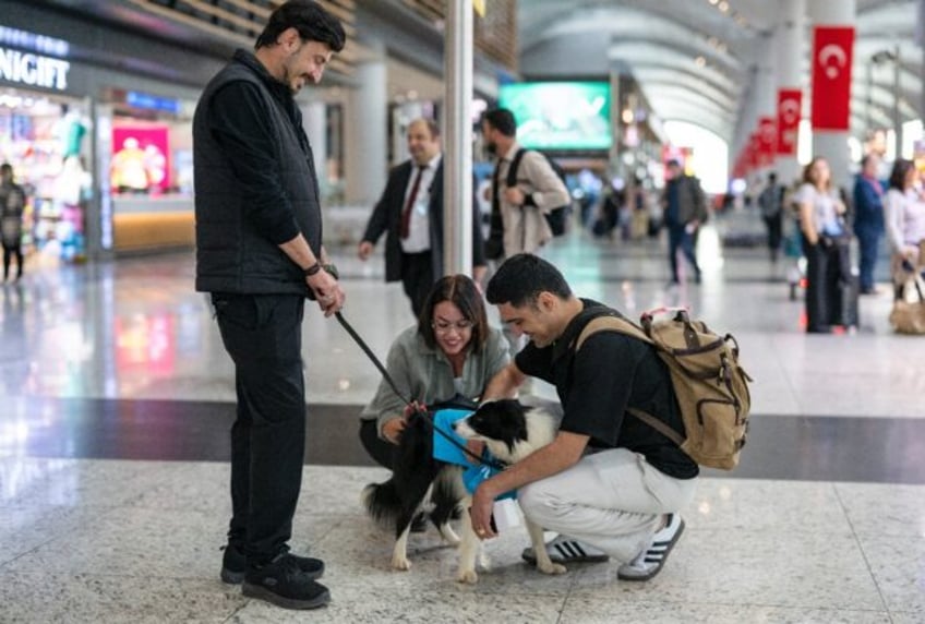 The dogs provide relief for passengers dealing with anxieties of air travel