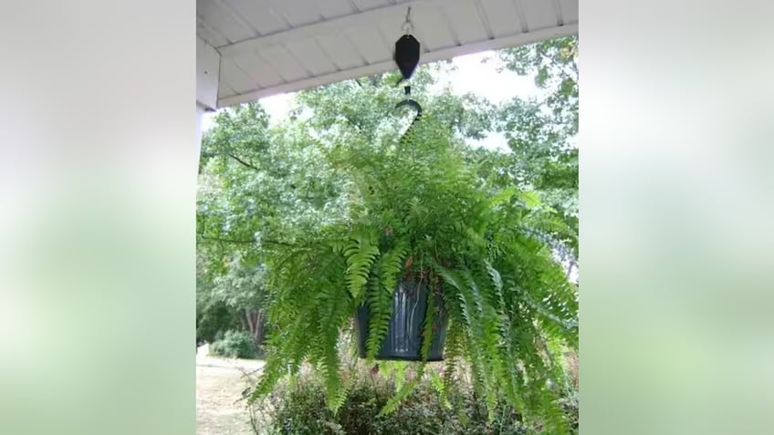 Make watering your hanging plants easier. 