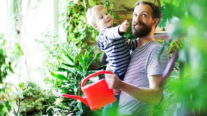 Transform your sunroom into a plant paradise. 