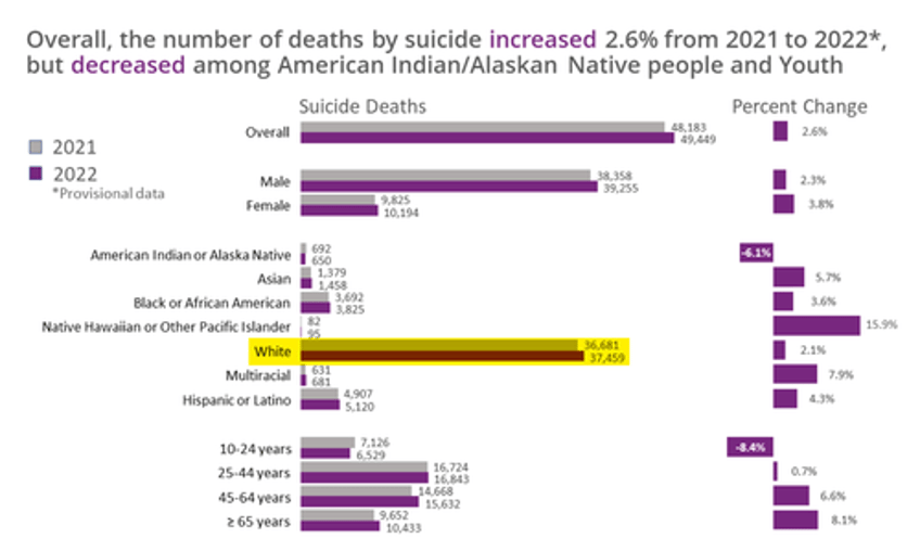 twin crises rattle america suicides and drug overdoses hit record highs