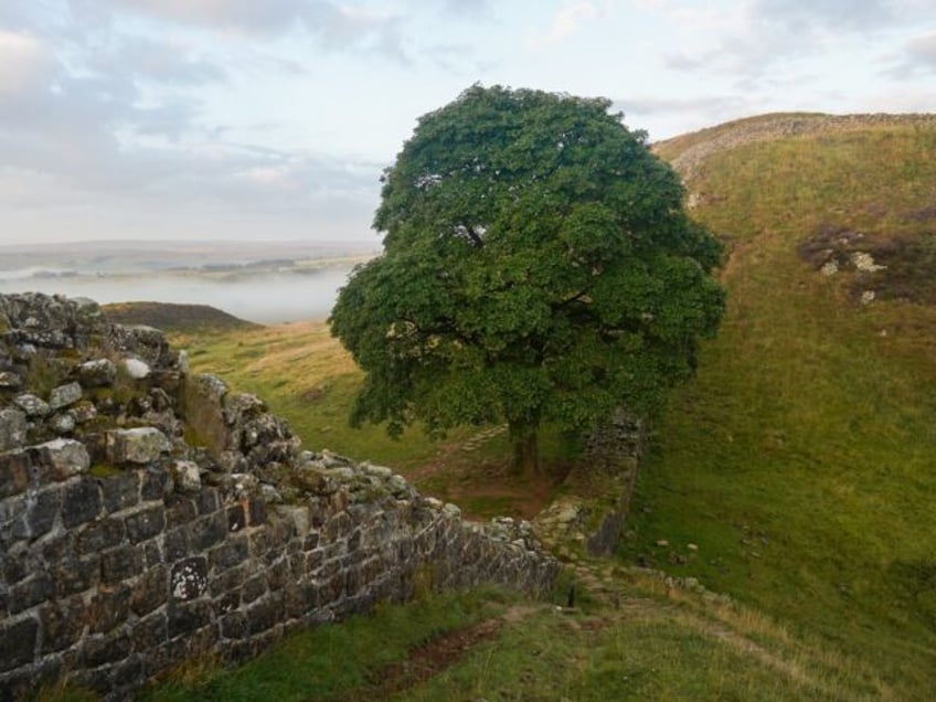 HEXHAM, UNITED KINGDOM - AUGUST 27: Sycamore Gap on Hadrian’s Wall which this year celeb