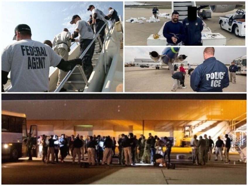 ICE Removes Criminal Aliens (U.S. Immigration and Customs Enforcement)