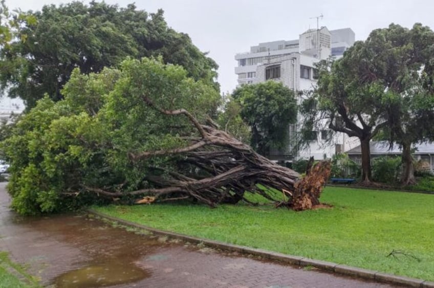 typhoon knocks out power in southern japan