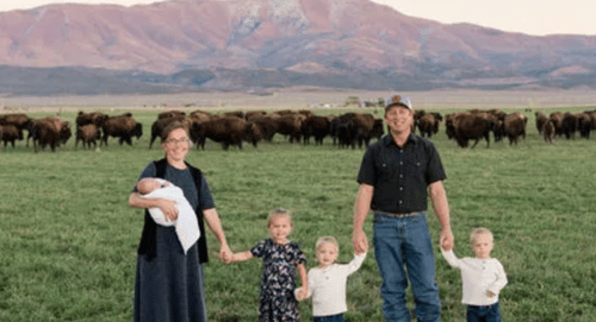 tyson foods spots potential beef crisis low as hard work begins for ranchers