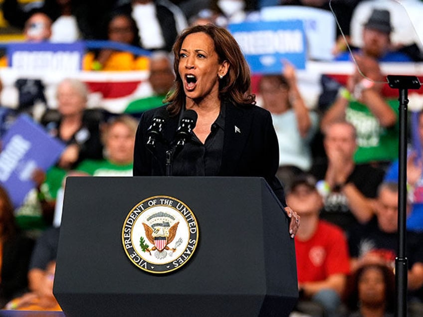 Democratic presidential nominee Vice President Kamala Harris speaks during a campaign rall