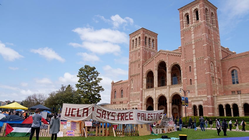 Protesters at UCLA