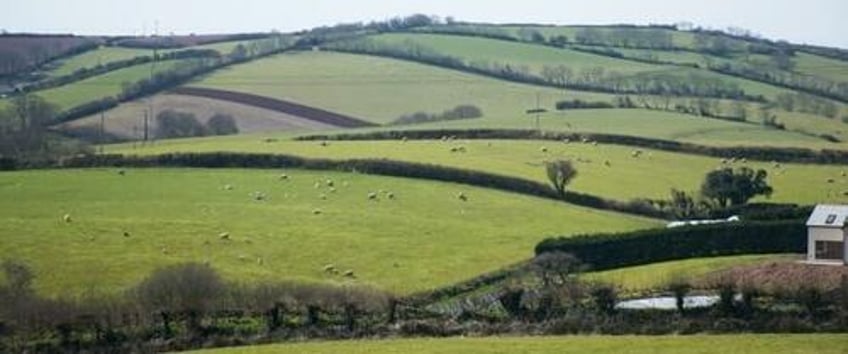 uk farmers fear for bioethanol market following us trade deal