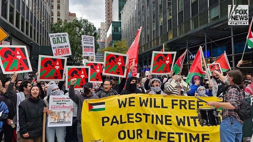 uk sex workers union mocked for standing with palestinians vs israel chickens in solidarity with foxes