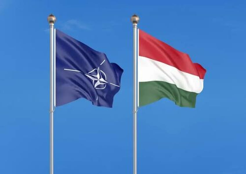 ukraine says ready to replace putin friendly hungary in eu nato