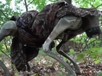 Ukraine shows off capabilities of new drone-dropped, flamethrowing robotic war dogs: video