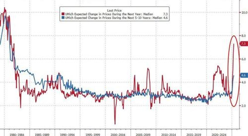 umich sentiment collapses near 45 year record lows as democrats inflation dissonance hits 11