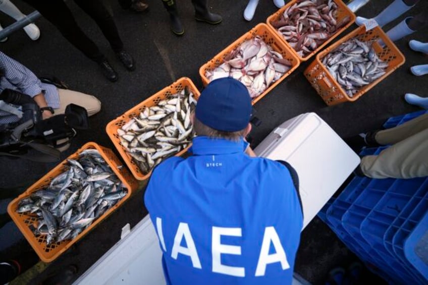 un nuclear agency team watches japanese lab workers prepare fish samples from damaged nuclear plant