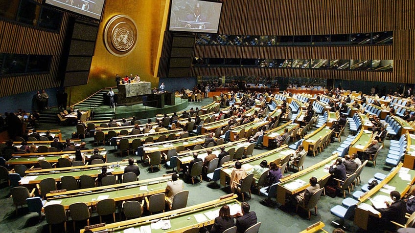 UN General Assembly