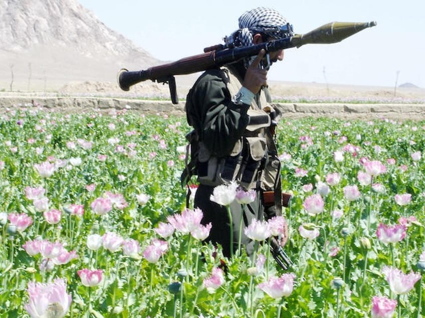 un says opium supply in afghanistan dropped 95 under taliban