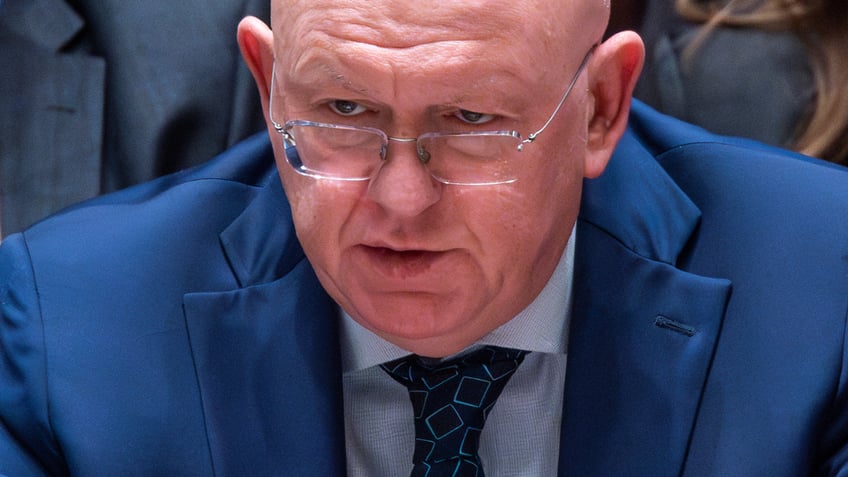 Vassily Nebenzia