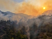 UN teams deploy to Syrian coast as wildfires force hundreds to flee