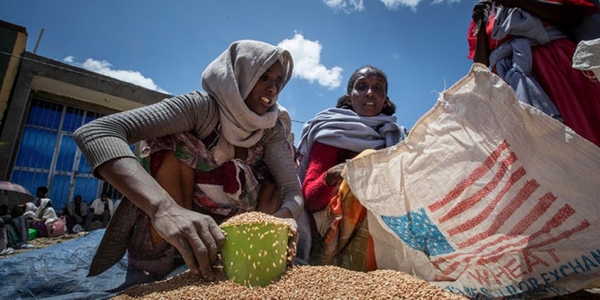 un world food program slowly resumes food aid to ethiopia after suspending program