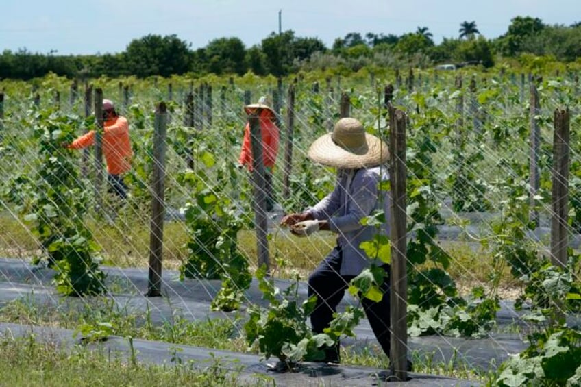 uncertain and afraid floridas immigrants grapple with a disrupted reality under new law