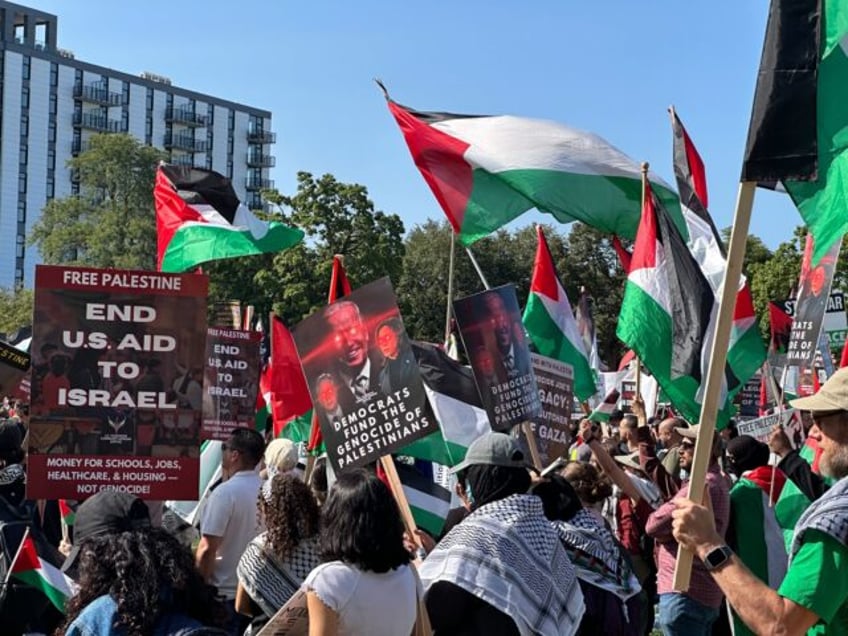 Pro-Palestinian protest DNC (Matthew Perdie / Breitbart News)