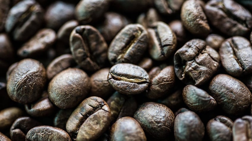 Black Ivory Coffee beans