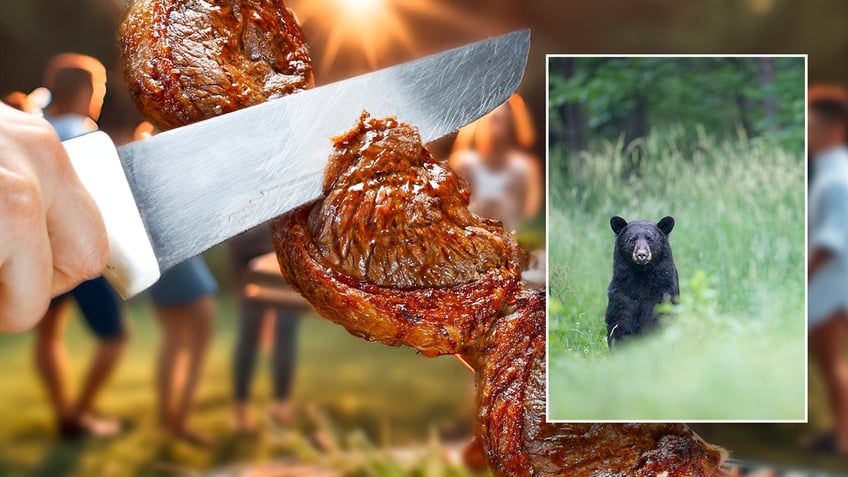 A knife slices meat at a barbecue. A black bear is shown, inset.