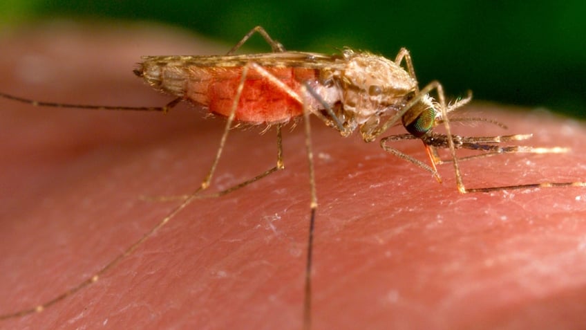 unexplained fever malaria might be a possible diagnosis regardless of travel history says cdc