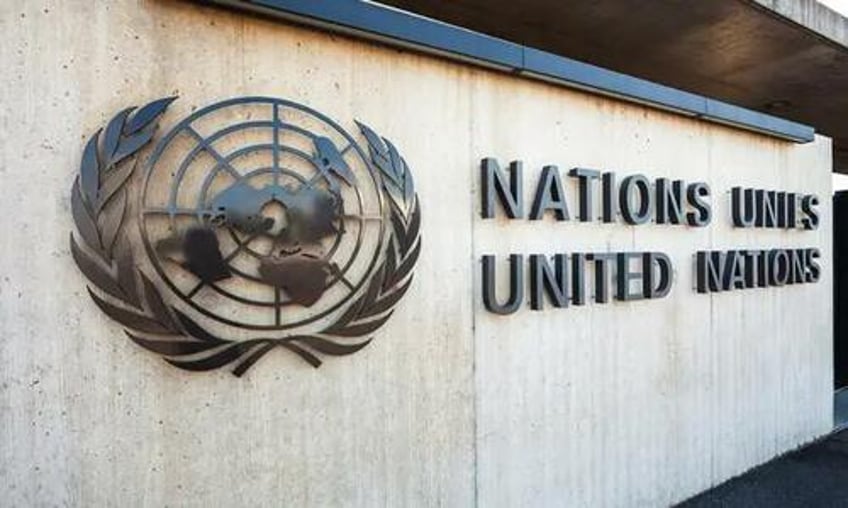 united nations countering deadly disinformation through creation of digital army