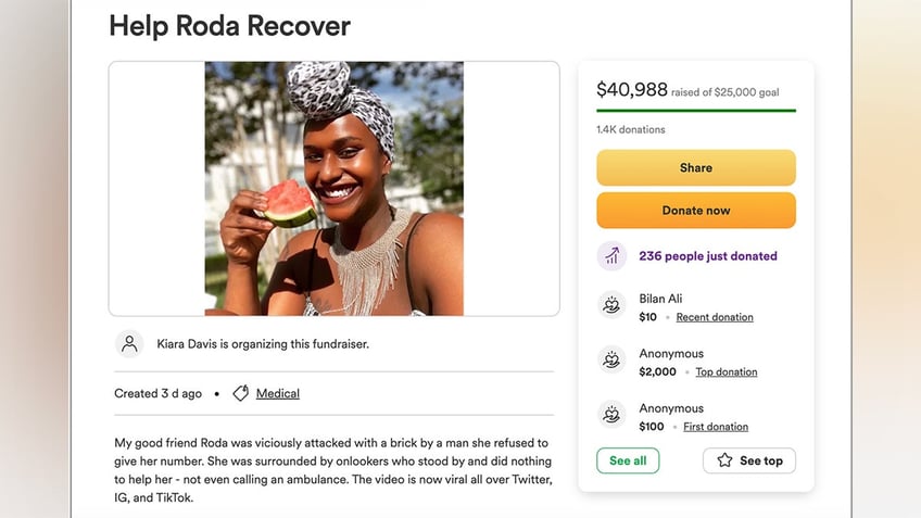 Screenshot of Roda Osman's GoFundMe