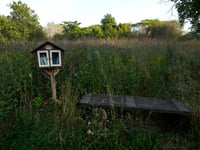 Urban communities that lack shade sizzle when it’s hot. Trees are a climate change solution