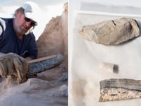 US Air Force uncovers ancient campsite on New Mexico base: 'Marks a pivotal moment'