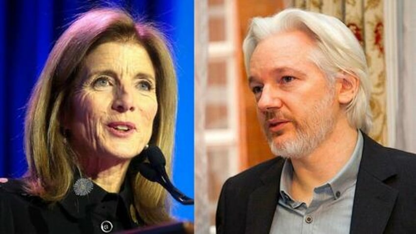 us ambassador says white house open to assange plea deal