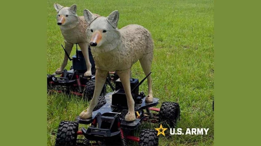 coyote robot 3