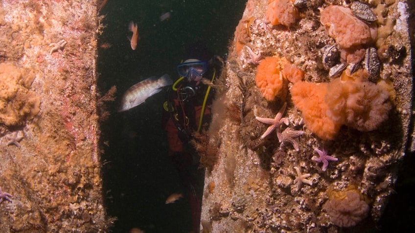 "The currents are swift around the site, therefore dives need to be timed to slack water," according to NOAA.