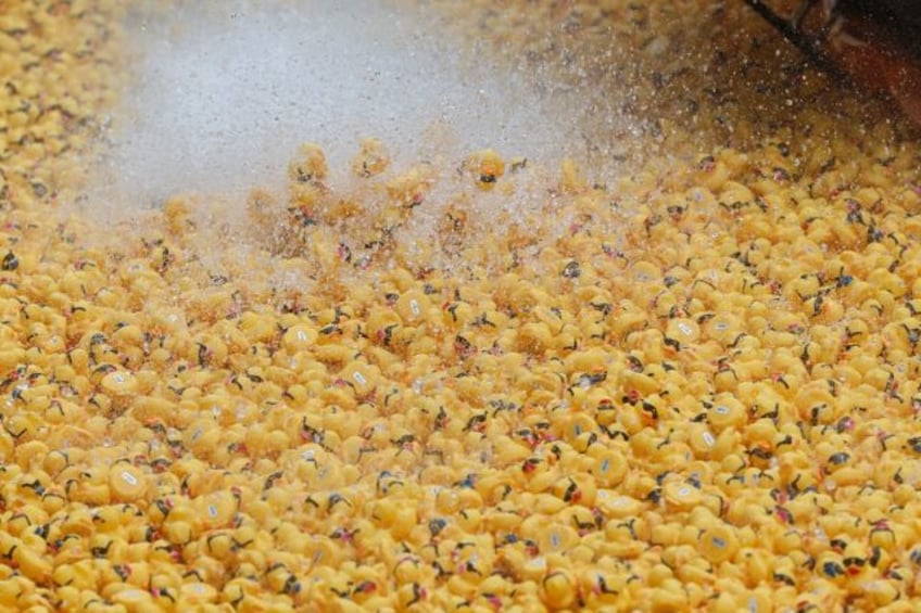 The US EPA has started a review that could eventually ban PVC production, impacting rubber ducks, like these that float down the Chicago River in an annual fundraiser