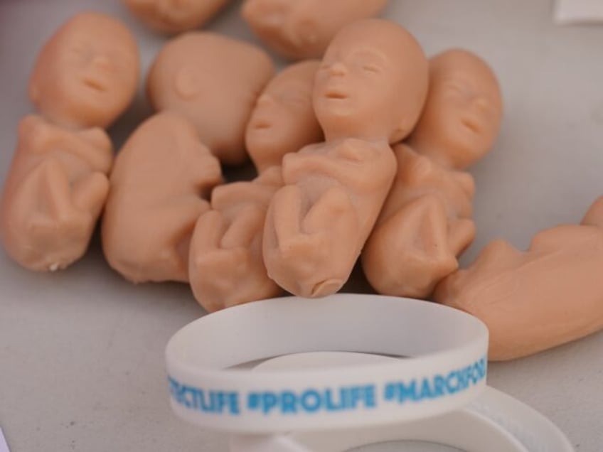 Plastic fetuses in display as Pro Life campaigners take part in the March for Life Campaig