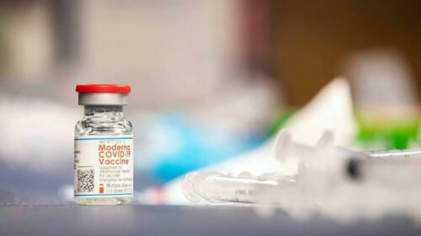 us cancels 700 million moderna bird flu vaccine contract