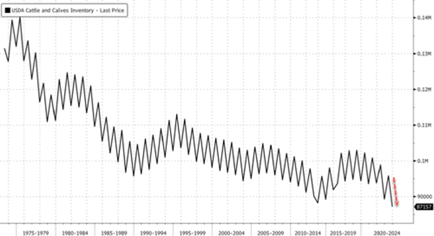 us cattle herd shrinks to 1951 lows as beef crisis deepens