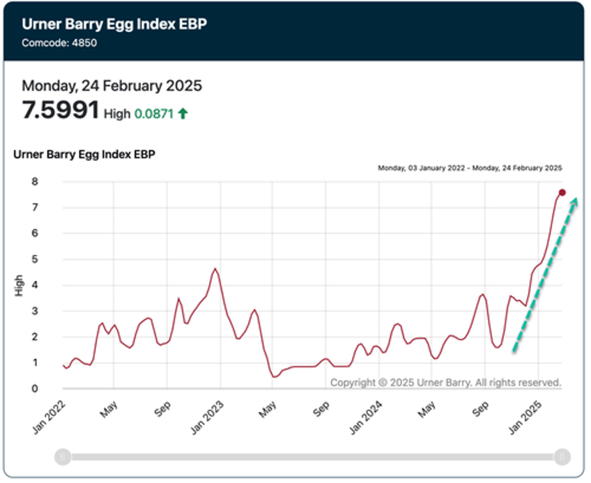 us egg laying hen population implodes wholesale egg prices hit new record