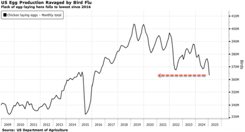 us egg laying hen population implodes wholesale egg prices hit new record