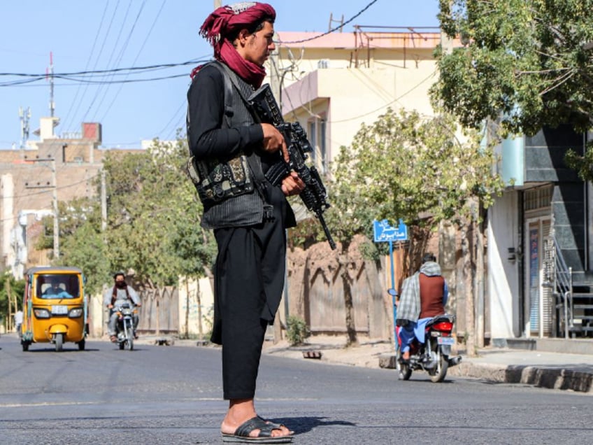 us envoy says afghan taliban killed eight key islamic state leaders